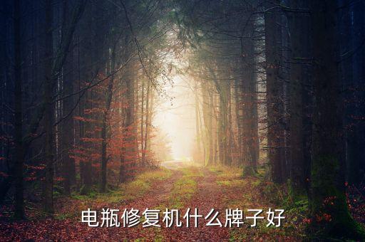 電瓶修復(fù)機(jī)什么牌子好