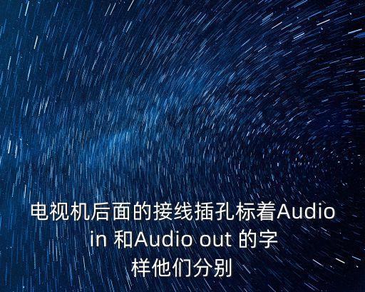 電視機(jī)后面的接線插孔標(biāo)著Audio in 和Audio out 的字樣他們分別