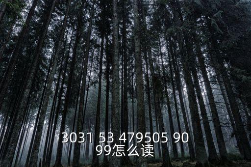 3031 53 479505 9099怎么讀