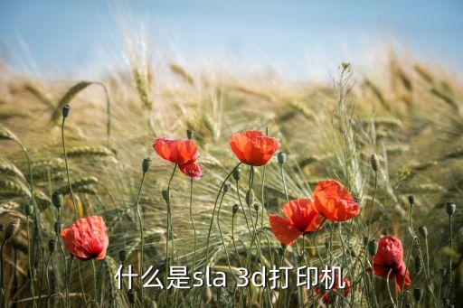什么是sla 3d打印機