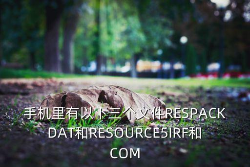 respack，手機里有以下三個文件RESPACKDAT和RESOURCE5IRF和COM