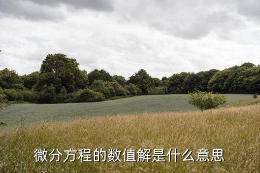 微分方程的數(shù)值解是什么意思