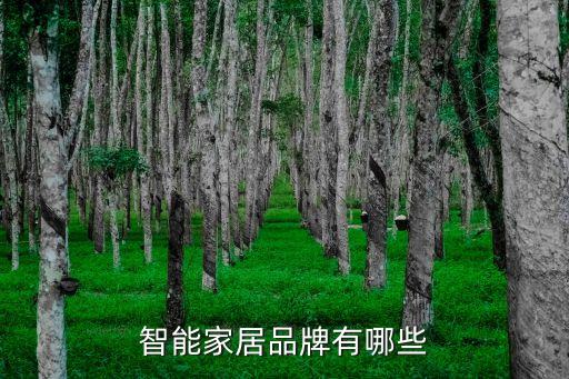 智能家居品牌有哪些