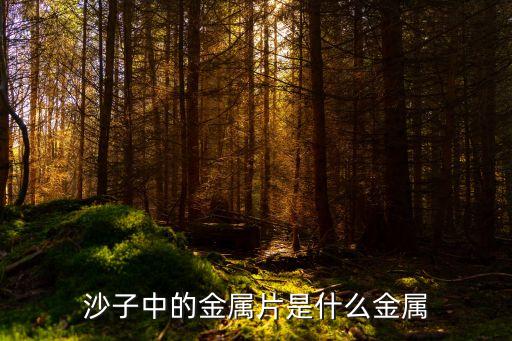 金屬片，雙金屬片和普通的金屬片有什么不同