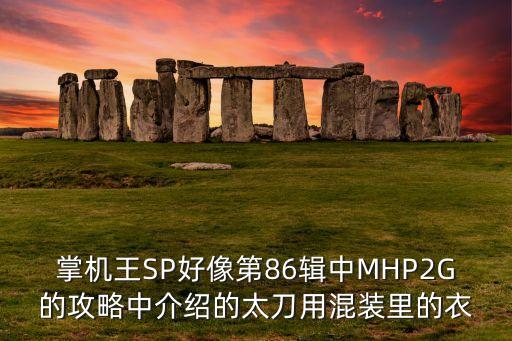 掌機(jī)王SP好像第86輯中MHP2G的攻略中介紹的太刀用混裝里的衣