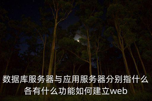 應(yīng)用服務(wù)器，數(shù)據(jù)庫服務(wù)器與應(yīng)用服務(wù)器分別指什么各有什么功能如何建立web