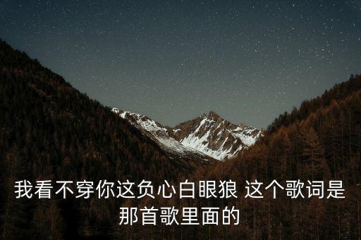 李春亮，李春亮的英文怎么寫