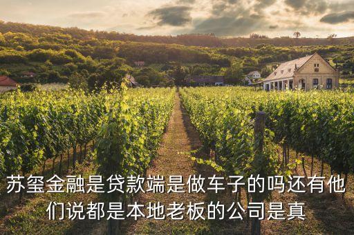 蘇璽金融是貸款端是做車子的嗎還有他們說都是本地老板的公司是真