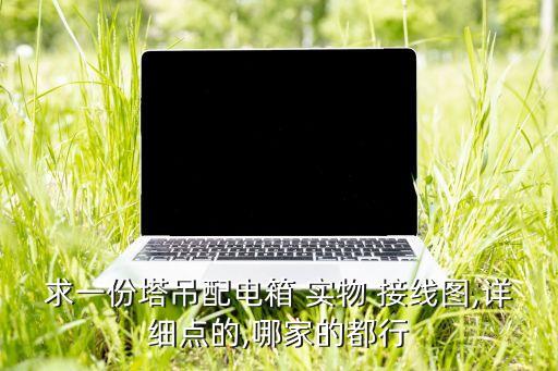 求一份塔吊配電箱 實(shí)物 接線圖,詳細(xì)點(diǎn)的,哪家的都行