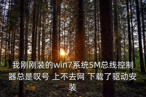我剛剛裝的win7系統(tǒng)SM總線控制器總是嘆號(hào) 上不去網(wǎng) 下載了驅(qū)動(dòng)安裝