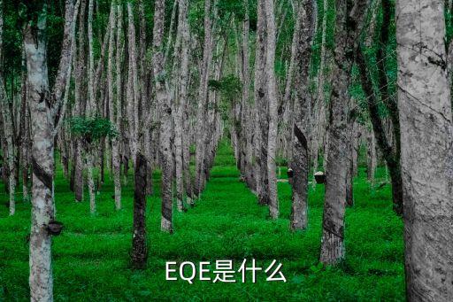 EQE是什么