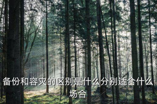 備份和容災(zāi)的區(qū)別是什么分別適合什么場合