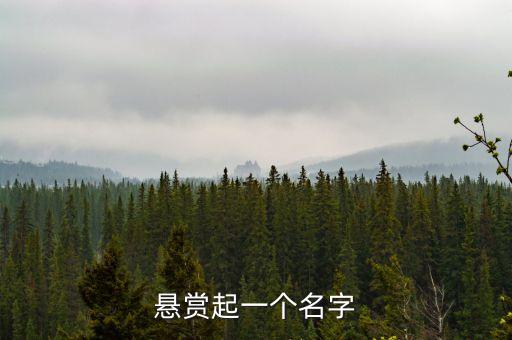 懸賞起一個名字