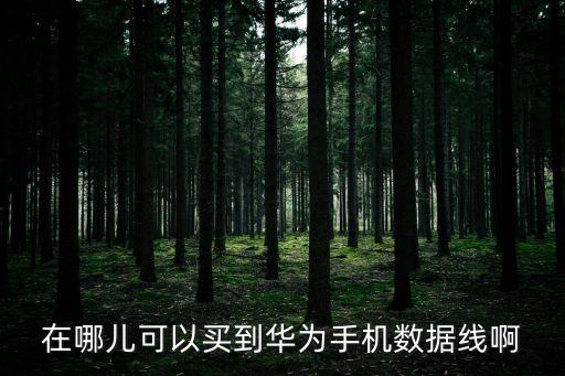 在哪兒可以買到華為手機(jī)數(shù)據(jù)線啊