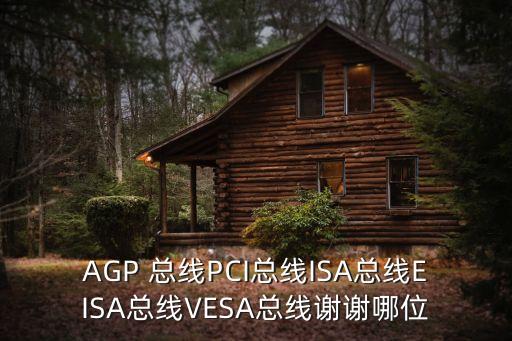 AGP 總線PCI總線ISA總線EISA總線VESA總線謝謝哪位