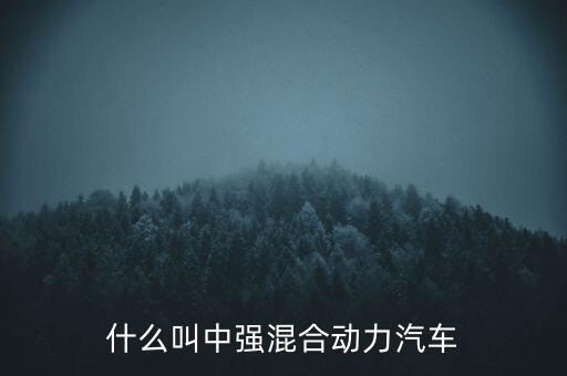 什么叫中強(qiáng)混合動(dòng)力汽車(chē)