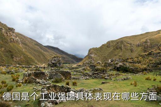 德國工業(yè)，德國的工業(yè)主要制造什么