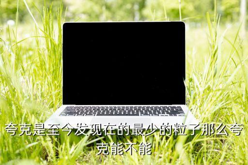夸克是至今發(fā)現(xiàn)在的最少的粒子那么夸克能不能