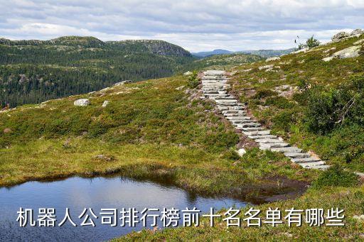 機(jī)器人公司排行榜前十名名單有哪些