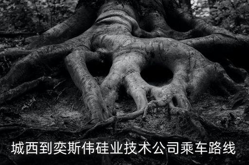 城西到奕斯偉硅業(yè)技術(shù)公司乘車路線