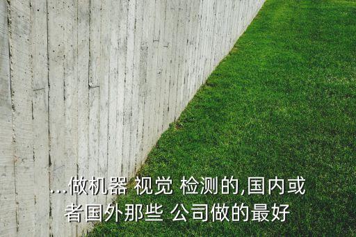 ...做機器 視覺 檢測的,國內或者國外那些 公司做的最好