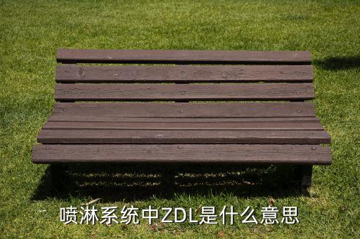 噴淋系統(tǒng)中ZDL是什么意思