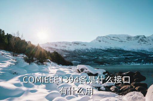 COMIEEE1394各是什么接口有什么用