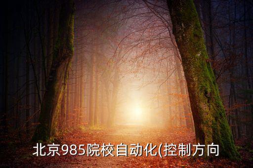 北京985院校自動化(控制方向