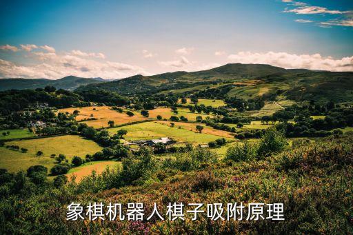 機(jī)器人小胖進(jìn)化者2代,青島進(jìn)化者機(jī)器人公司研發(fā)象棋機(jī)械人