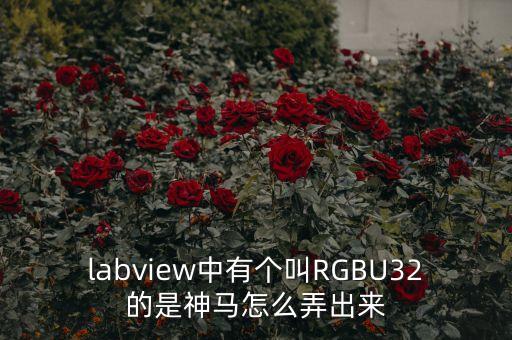 labview中有個叫RGBU32的是神馬怎么弄出來