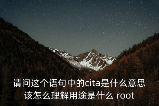 請問這個語句中的cita是什么意思該怎么理解用途是什么 root