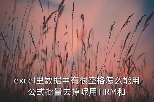 excel里數(shù)據(jù)中有很空格怎么能用公式批量去掉呢用TIRM和