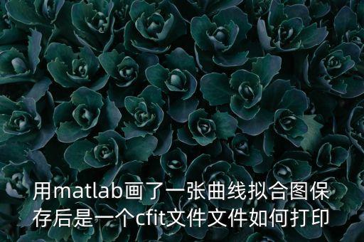 用matlab畫了一張曲線擬合圖保存后是一個cfit文件文件如何打印