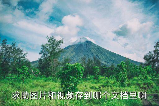 求助圖片和視頻存到哪個文檔里啊