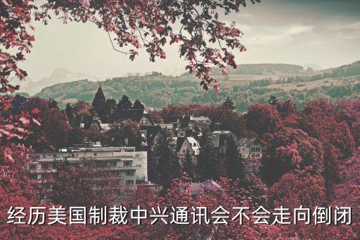 經(jīng)歷美國制裁中興通訊會不會走向倒閉