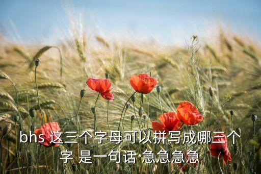 bhs，bhs是什么