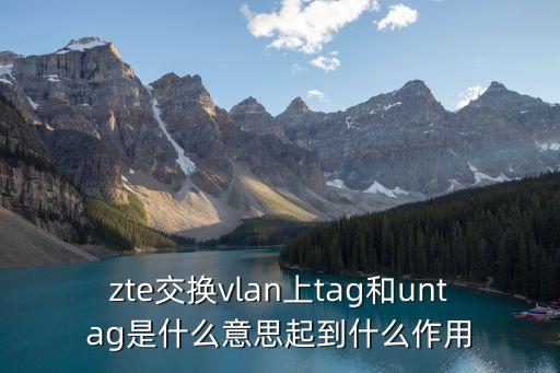 zte交換vlan上tag和untag是什么意思起到什么作用