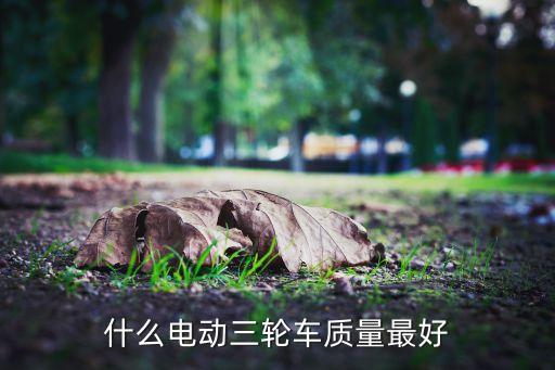 最好的電動三輪車，電動三輪車哪個品牌好點