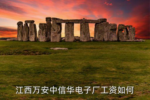 江西萬(wàn)安中信華電子廠工資如何
