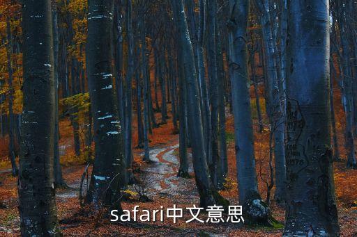 safari中文意思