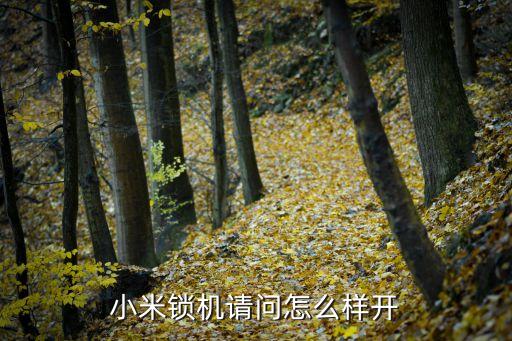 小米解鎖機(jī)，我的小米手機(jī)鎖住了怎么解鎖