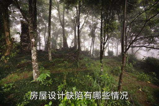 設(shè)計問題，房屋設(shè)計缺陷有哪些情況