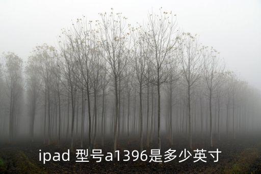 a1396，ipad 型號(hào)a1396是多少英寸