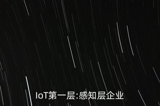 IoT第一層:感知層企業(yè)