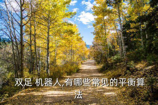 雙足機器人送水,中國雙足機器人發(fā)展史