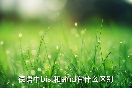 德語(yǔ)中bist和sind有什么區(qū)別
