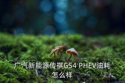 廣汽新能源傳祺GS4 PHEV油耗怎么樣