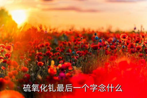 硫氧化釓最后一個(gè)字念什么