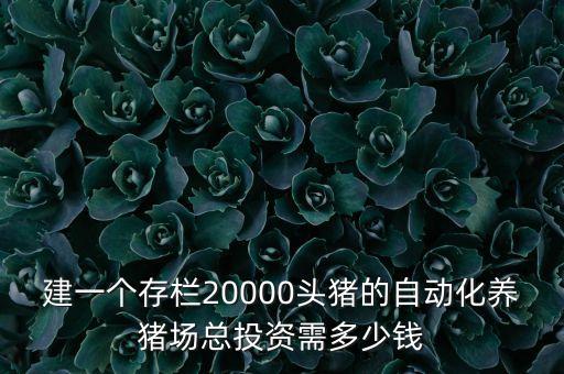 建一個存欄20000頭豬的自動化養(yǎng)豬場總投資需多少錢