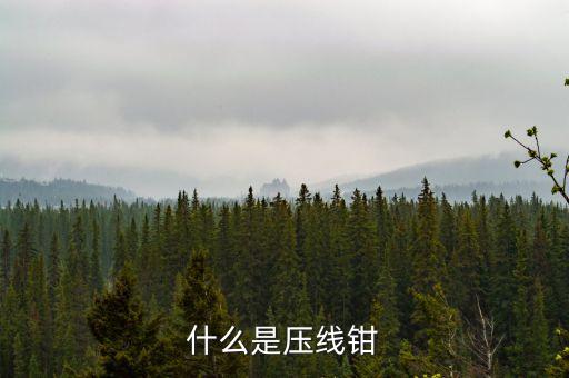 什么是壓線鉗